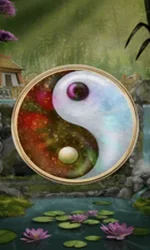 Panda Money