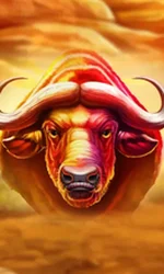 Buffalo Hold and Win Extreme